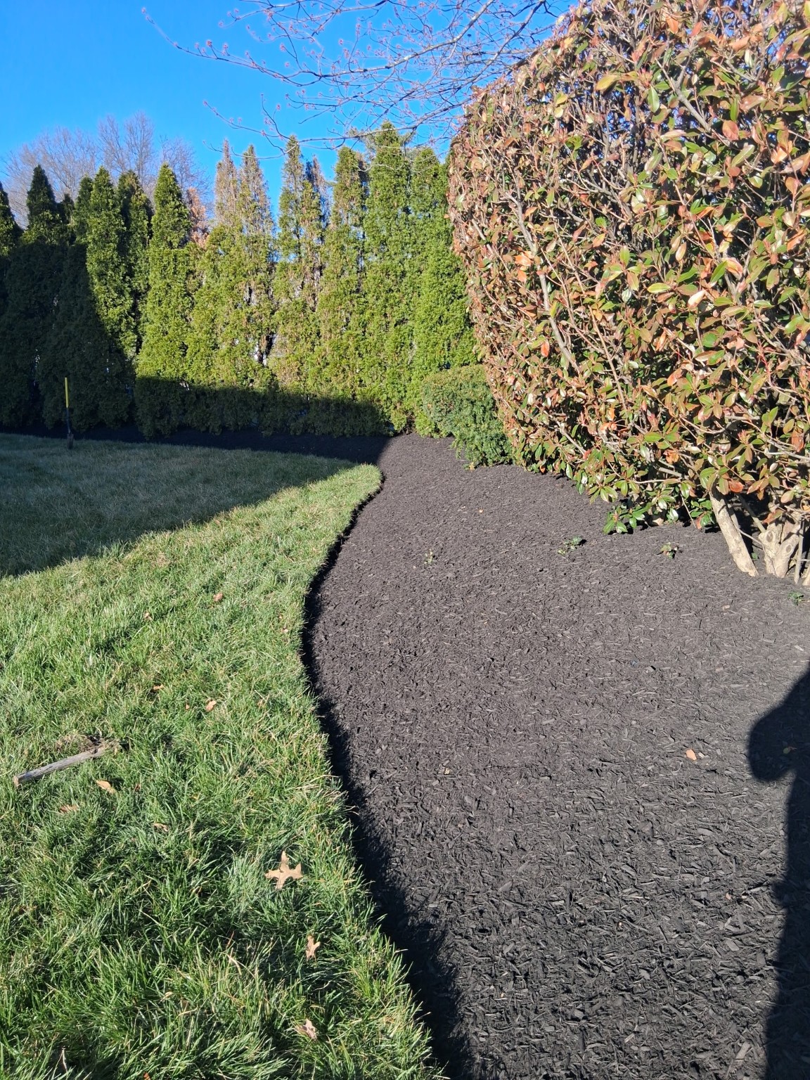 Fresh mulch edging