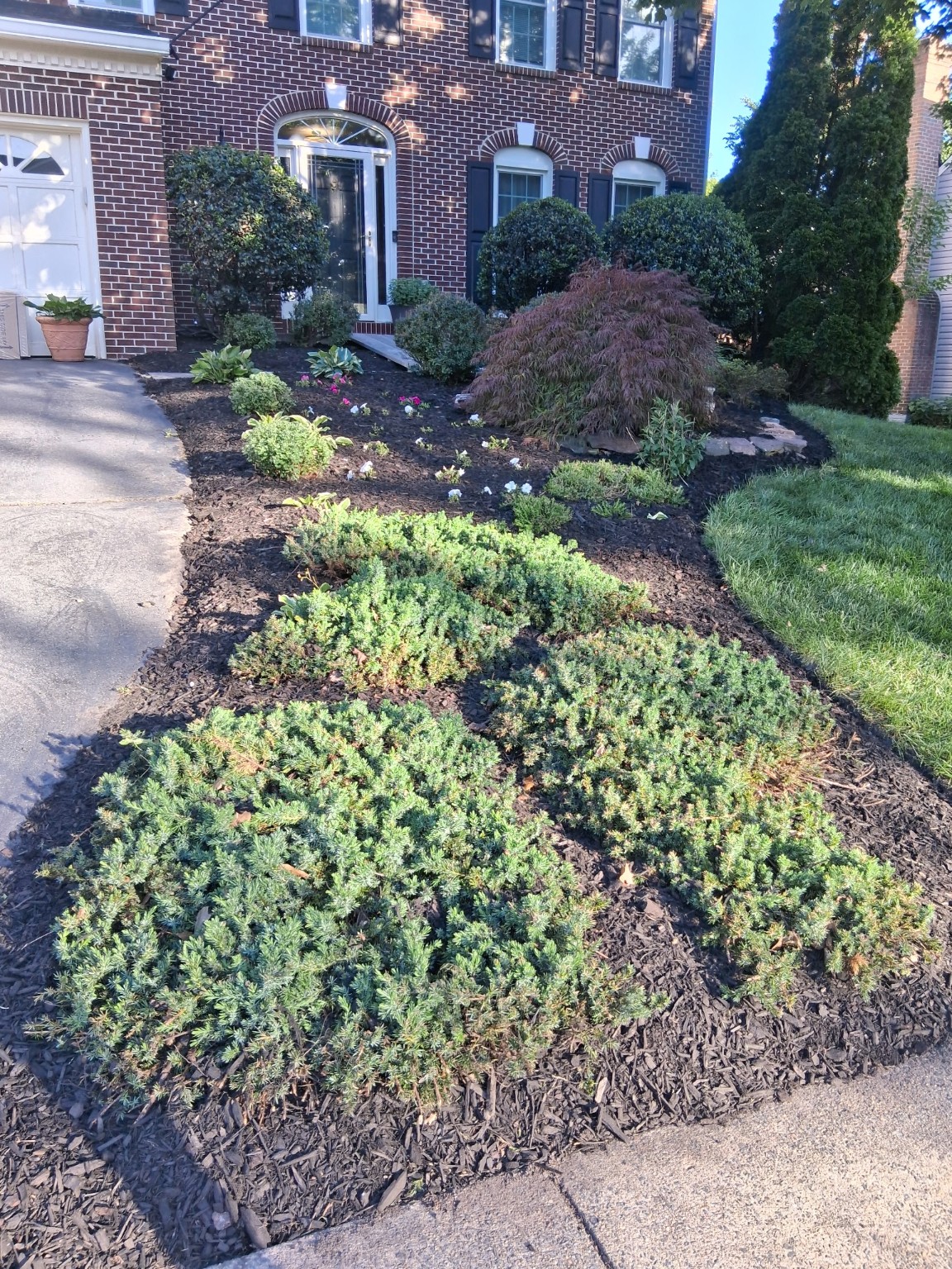 Landscaped front yard