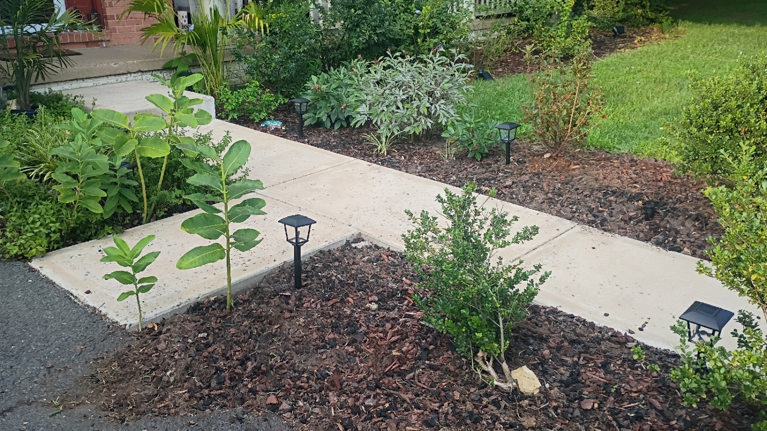 Landscape planting